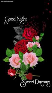 Good Night Photo Flowers Goodnight Goodnightimages Trending Flowerimages Fl In 2020 Good Night Flowers Good Night Love Images Good Night Beautiful