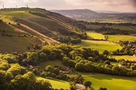 South Downs National Park | Avington Estate, Hampshire