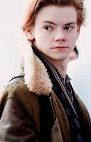 Themazerrunner Stories