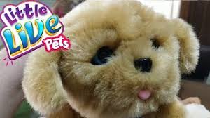 Little Live Pets Canim Kopegim Snuggles Misket Ile Pamuk Tanisiyor