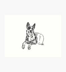 Black And White Cattle Dog Long Hair Heeler Squad Blue Art Print By Danny Gonzalez Blue Art Prints Blue Heeler Dogs Art