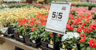Check spelling or type a new query. Lowe S 4th Of July Sale 1 Annuals 4 Vegetable Plants Save On Mulch Tiki Torches More Hip2save