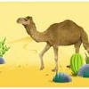 Similar books to 'away laughing on a fast camel'. Https Encrypted Tbn0 Gstatic Com Images Q Tbn And9gct1fy92jeje6a8oewnpqcoy5fey7fcwvyeqkbmtt7dmpcbdpaoz Usqp Cau