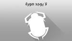 بالصور- مجموعة من أبرز فساتين