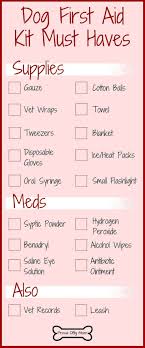 There are pets and there are canine family members. 18 Dog First Aid Kit Essentials Pet First Aid Diy First Kitteninfographic Diy First Aid Kit Dog Care Tips Dog Health Tips