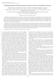 Image result for Digitaria thouaresiana