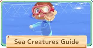 This guide includes shadow size, locations, time (month & hours), sell prices list and charts. Animal Crossing Sea Creatures List Prices Guide Acnh Gamewith