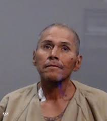 Two men accused of smuggling illegal border crosses