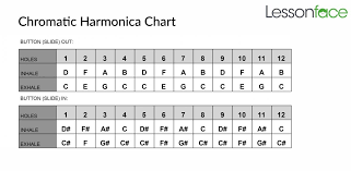 Chromatic Harmonica Note Chart Related Keywords