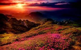 Maybe you would like to learn more about one of these? Amazing Mountain Sunset Sunsets Nature Background Wallpapers On Desktop Nexus Image 1962375