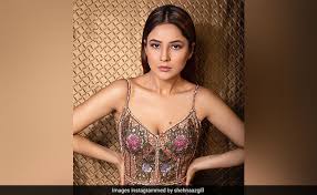 In the bigg boss house, she dated the. Shehnaaz Gill To Co Star With Diljit Dosanjh In Honsla Rakh
