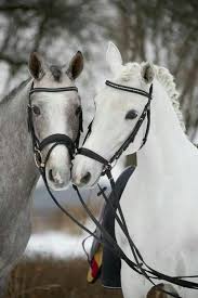 Tumblr Nxxilov5ec1qat5pio1 500 Image 4067192 On Favim Com