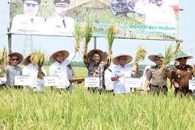 Maybe you would like to learn more about one of these? Ngawi Direktorat Jenderal Tanaman Pangan Kementan Ri Facebook