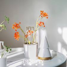 现代简约ins铁艺陶瓷仿真花果子假花水培鲜花装饰花瓶家居摆件 decor home decor vase