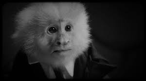 David Lynch Netflix Short Film What Would Jack Do Co Stars A Monkey Indiewire See omnystudio.com/listener for privacy information. david lynch netflix short film what