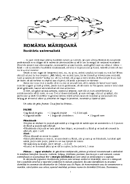 Cat este stimulentul de insertie. Pdf Bucataria Lui Radu Povblack Lol Academia Edu