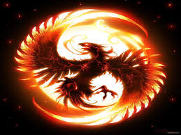 Fire Dragon Wallpapers Wallpaper Cave Feel free to send us your own wallpaper and we will consider adding it to.