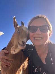 Tate McRae Mixed Breed Tate is a shy 1 1/2 year old mixed breed female-  possibly longhaired chihuahua- that is looking for a quiet home to join.  Tate recently weaned her puppies