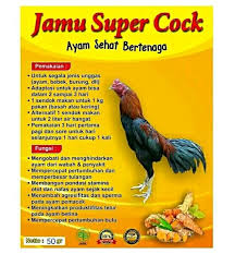 Agar gizinya terpenuhi dengan seimbang dan ayam tidak bosan merupakan manfaat perlunya variasi dalam pemberian. Jual Bukan Kyojin Obat Anak Ayam Cepat Besar Jamu Super Cock Di Lapak Rokim5758 Bukalapak