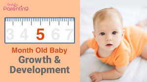 Go back to four months. Your 5 Month Old Baby S Growth Development Youtube