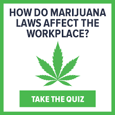 In that case, if you haven't been smoking pot, then drug test shouldn't be a concern. Marijuana And The Workplace It S Complicated