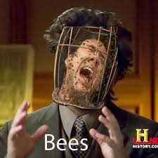 link picture from wickerman is not mine. Bees Ancient Aliens Know Your Meme
