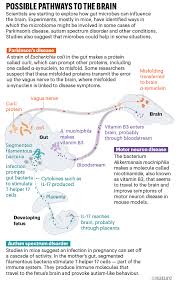لايوجد شيء اسمه التفكير الواعي العلم نور يقذفه الله في قلب من يشاء
