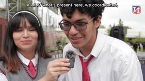 Letras para colorear en Canva #canva #canvatips