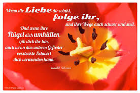 Zitate Yoga Liebe