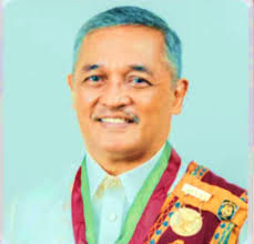 THE PEOPLE OF ICE Meet SONNY: Dean Pepito R Fernandez, Jr. Sonny Fernandez  is a full professor in political science and Dean of the UP Visayas College  of Arts and Sciences (UPV