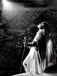 Image result for Pink 1972 Roper