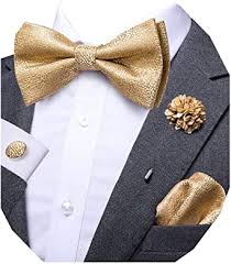 To start, fold the bottom edge of the napkin up to the top to make a rectangle. Amazon Com Dubulle Gold Bow Tie Lapel Pin Flower Set With Pocket Square Handkerchief Cufflinks Solid Gold Necktie For Men Clothing Shoes Jewelry