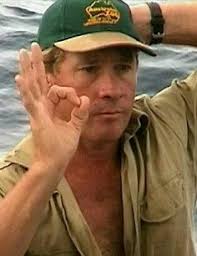 43 Steve irwin ideas