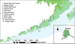 Near alaska peninsula, alaska, usa. Map Of The Alaska Peninsula Indicating Where Spawning Chum Salmon Were Download Scientific Diagram