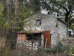 Trend Google: famiglia nel bosco