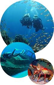 St Lucia Diving