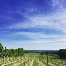 Our wine tastings are first come, first served, so please feel free to call ahead to make sure we have room for you in our spacious wine tasting room in northern michigan. Good Harbor Vineyards Stephanie Schlatter Art