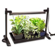 When considering any light for your indoor garden, the three most important things are spectrum, intensity, and efficiency, he says. 10 Easy Pieces Grow Lights For Indoor Plants Gardenista