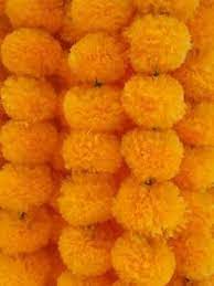 Synthetic fabrics arranged yellow marigold flower to look like a beautiful flowers. Bulk Set Of Artificial Marigold Flower Garland Wedding Decor Flowers Ebay