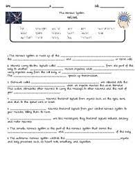 Conversely , our brains also react to neural message. Nervous System Quiz By Guidance And Growth Teachers Pay Teachers