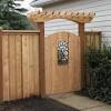 A pretty white picket fence with bright yellow blooms with lush green foliage peeping. 1