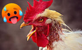 Disfruta desde cualquier dispositivo de toda la información general con tu suscripción digital a el mundo en orbyt. Ezle Fxkpayxjm