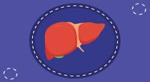 We did not find results for: Penyakit Demam Kuning Gejala Penyebab Dan Cara Mengobati Halodoc Com