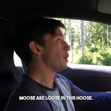 NEW VIDEO IS LOOSE, go see some Moose