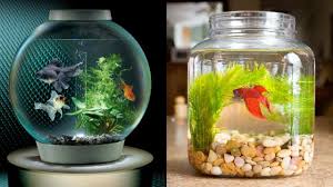 Aquarium unik dari paralon part 2 bahan: 4 Aquarium Mini Unik Untuk Hiasan Rumah Make Your Dreams Come True
