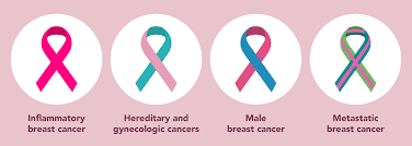 Image result for Breast Cancer