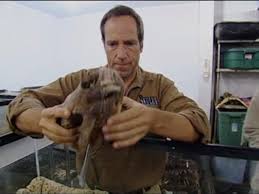 "Dirty Jobs" Skull Cleaner (TV Episode 2006)