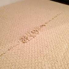 Though it's not as soft or plush as other types of carpet, berber. Which Type Of Berber Carpet Is Best For Your Basement Angi