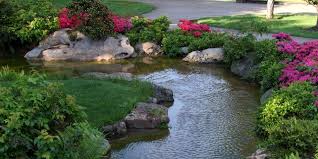 Green water lake in forest. All About Water Garden Greenmylife