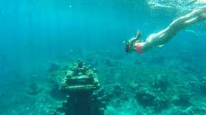 Check spelling or type a new query. Menikmati Pemandangan Bawah Laut Di Pulau Bali Dengan Cara Berbeda Wisata House